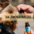 CBD für Haustiere – Öle und Pflege für Hunde & Katzen