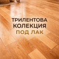 Трилентова колекция под лак