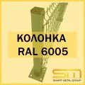 Колонка RAL 6005