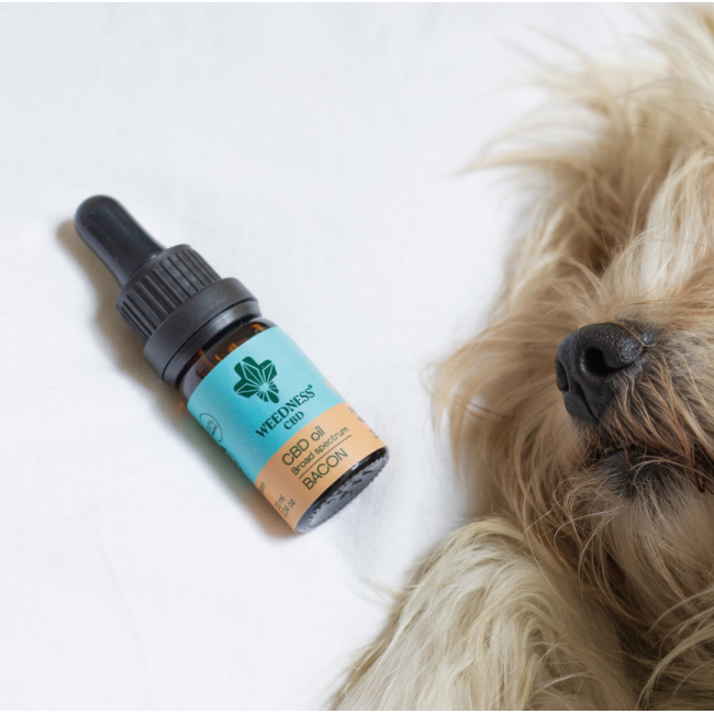 CBD Масло 3% для маленьких собак (300мг) – Вкус бекона