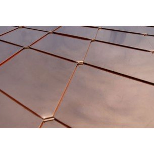 Покривна мед