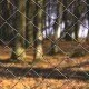 Galvanized Woven Fence Mesh