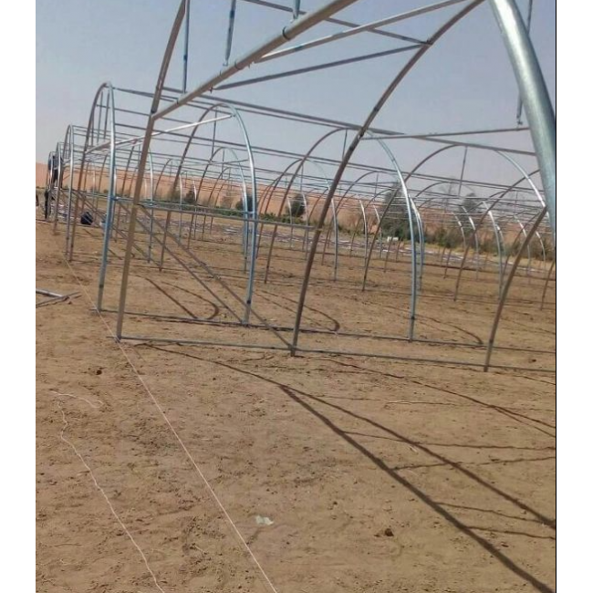Galvanized Greenhouses with Professional Film