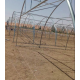 Galvanized Greenhouses with Professional Film