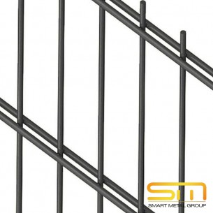 Пано Double 2D RAL7016 6/5/6 200х250 см