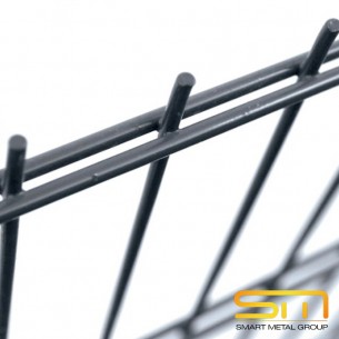 Пано Double 2D RAL7016 6/5/6 200х250 см