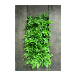 Yaşayan Boyama Kiti